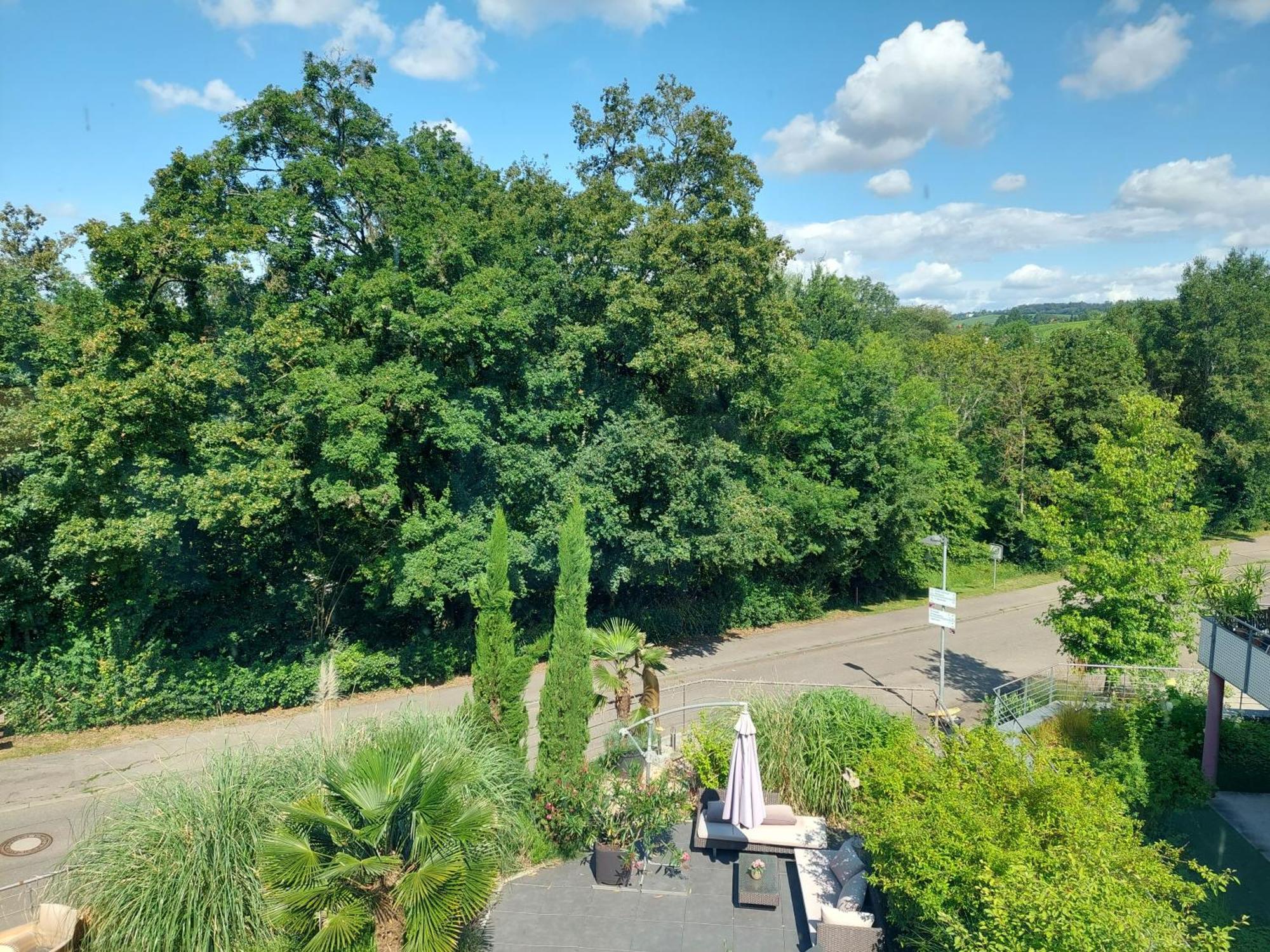 Tolle Penthouse Direkt Am Park Apartment Heilbronn